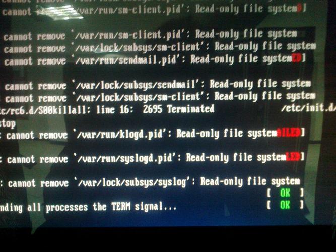 springboot 文件上传Linux环境报错