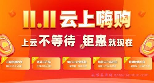双11云服务器活动文案