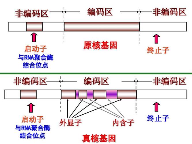 llamaindex 中GPTVectorStoreIndex 和 VectorStoreIndex区别