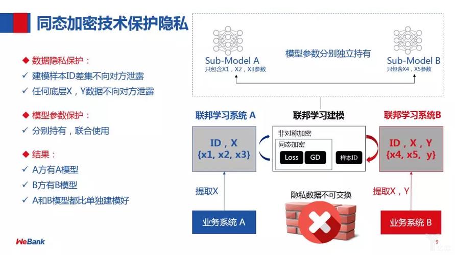 零知识证明与同态加密:隐私计算的双剑