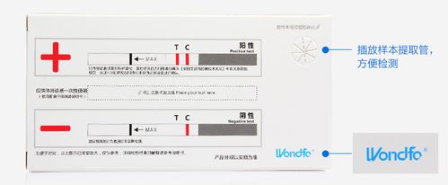 #LLM入门|AI测试# 3.6