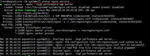 centos 杀死一个进程又启动了