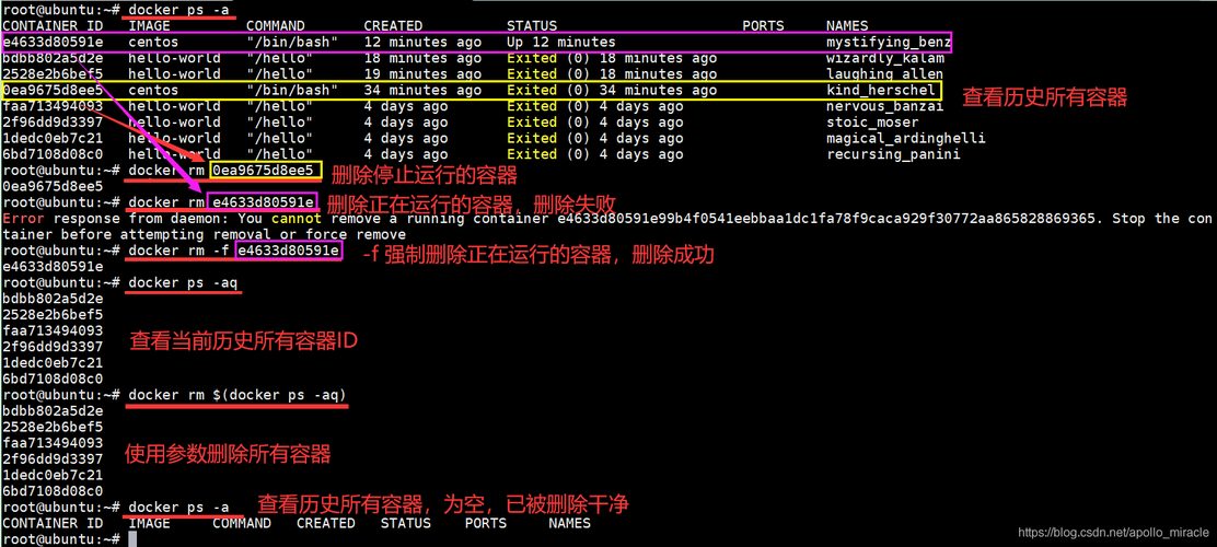 docker常用容器启动命令