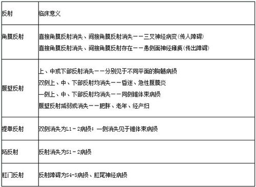反射技术介绍以及底层逻辑使用