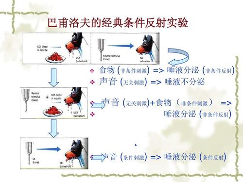 反射技术介绍以及底层逻辑使用