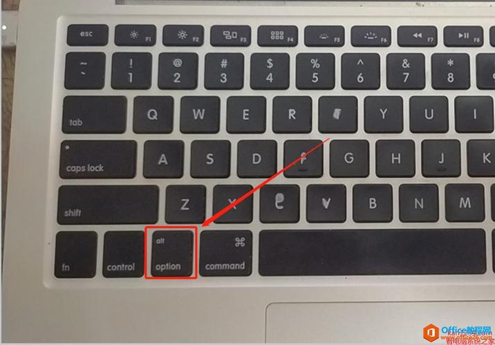 mac切换node版本