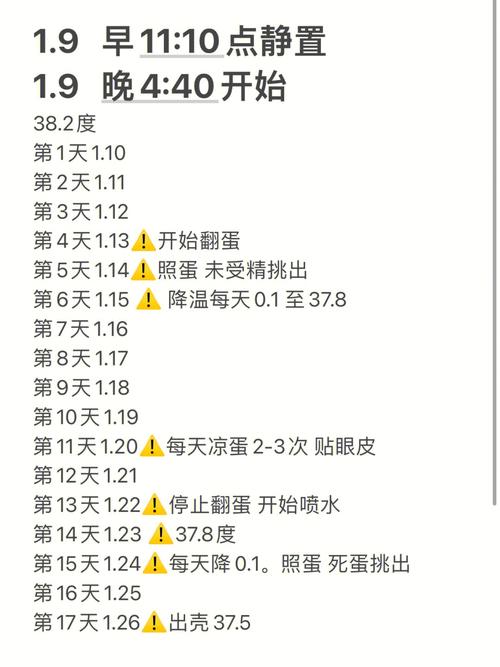 包含云服务器怎样小鸡生小鸡的词条
