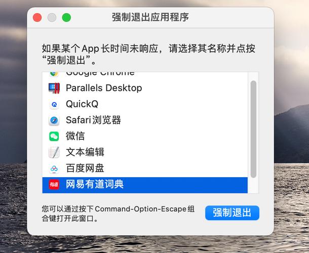 macOS 终端指南：如何结束端口