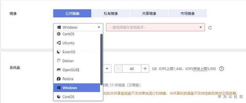 云服务器如何选择系统
