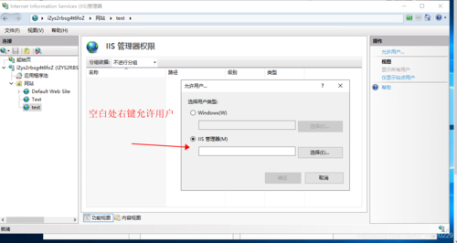 阿里云服务器找到iis
