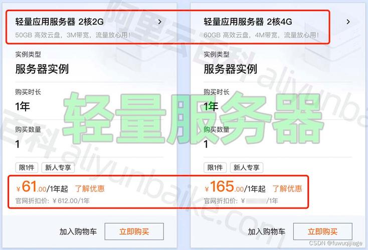新余云服务器费用多少钱