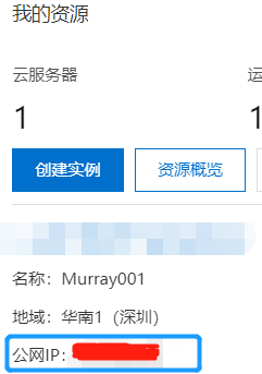 云服务器ecs查看ip