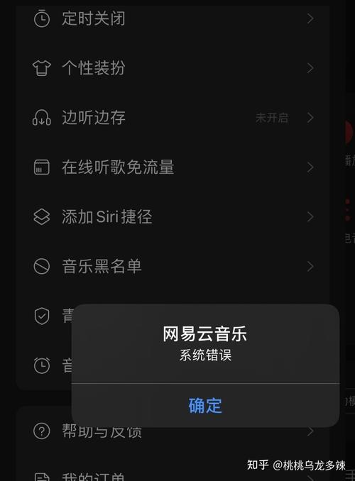 车载网易云服务器异常