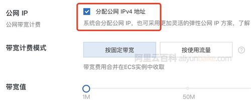 云服务器带ip地址吗