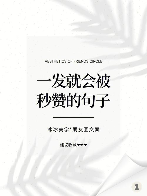 天天秒赞云服务器