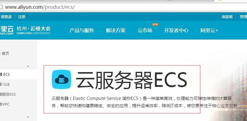 阿里云服务器全英文嘛