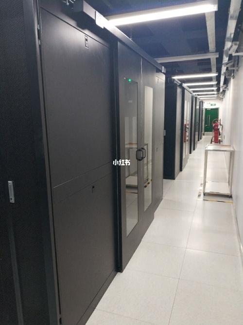 梦飞云服务器美国