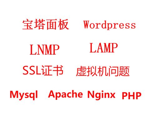 青龙面板云服务器地址