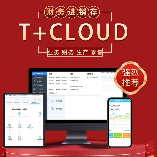 用友t十云服务器