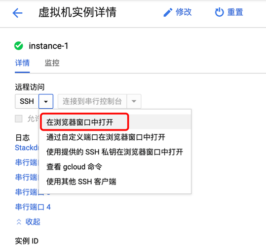 谷歌的云服务器怎么用