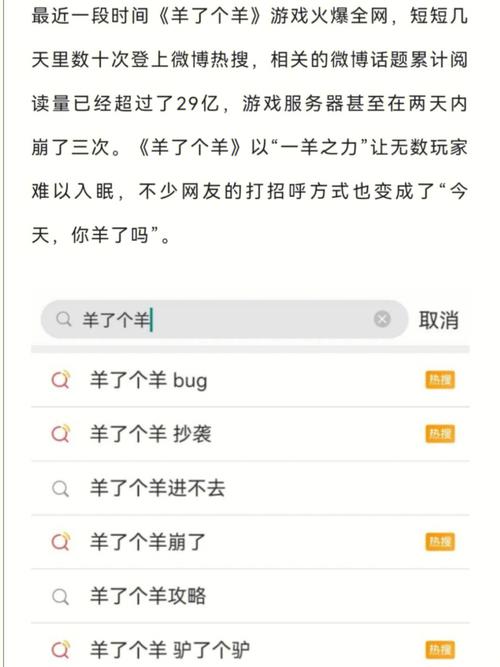 关于羊了个羊云服务器的信息