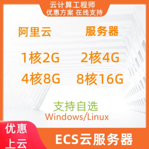 租用服务器与云服务器