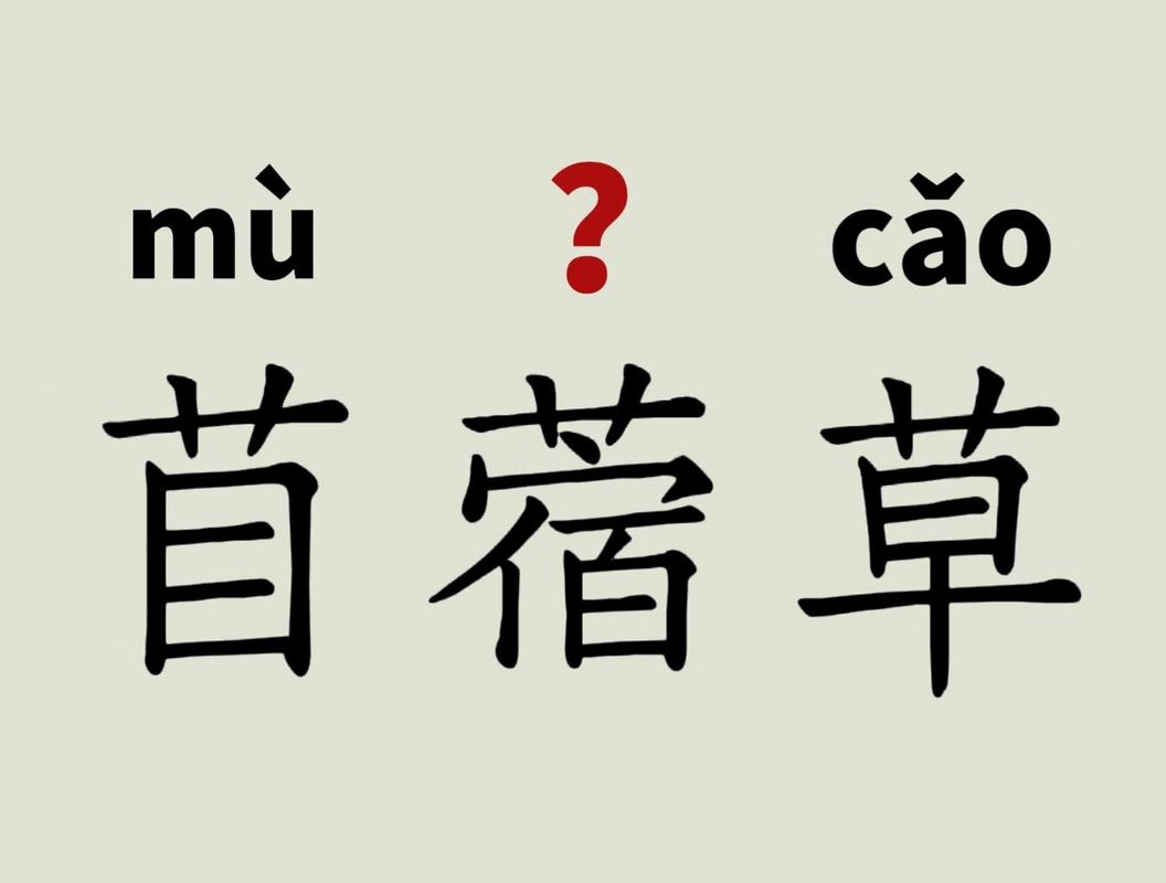 苜怎么读?