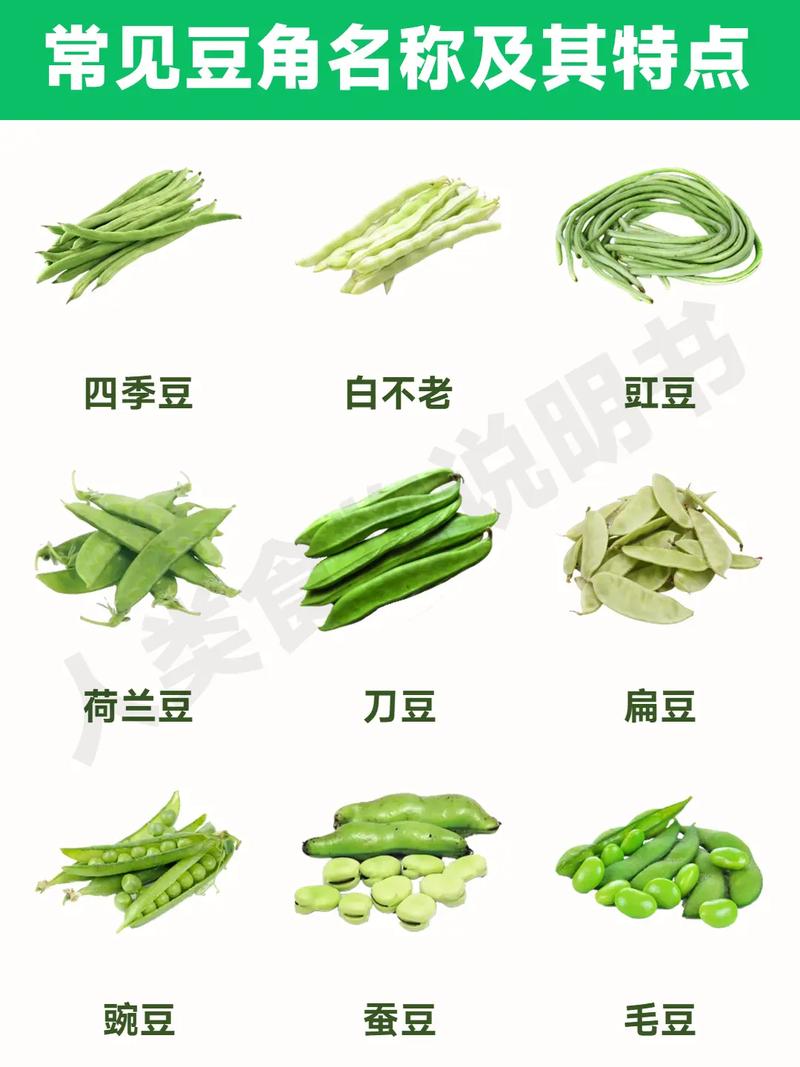 怎么判断豇豆熟没熟?