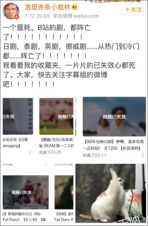 b站为什么电视剧下架?