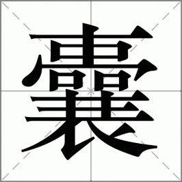 囊怎么读?