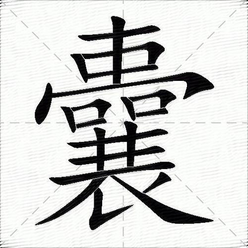 囊怎么读?