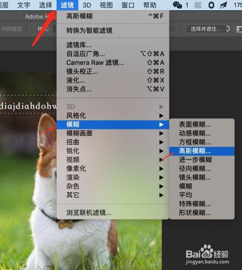 ps模糊工具怎么用?