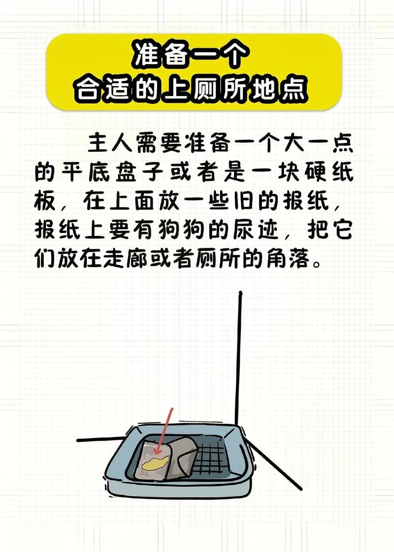 怎么训练狗狗定点大小便?