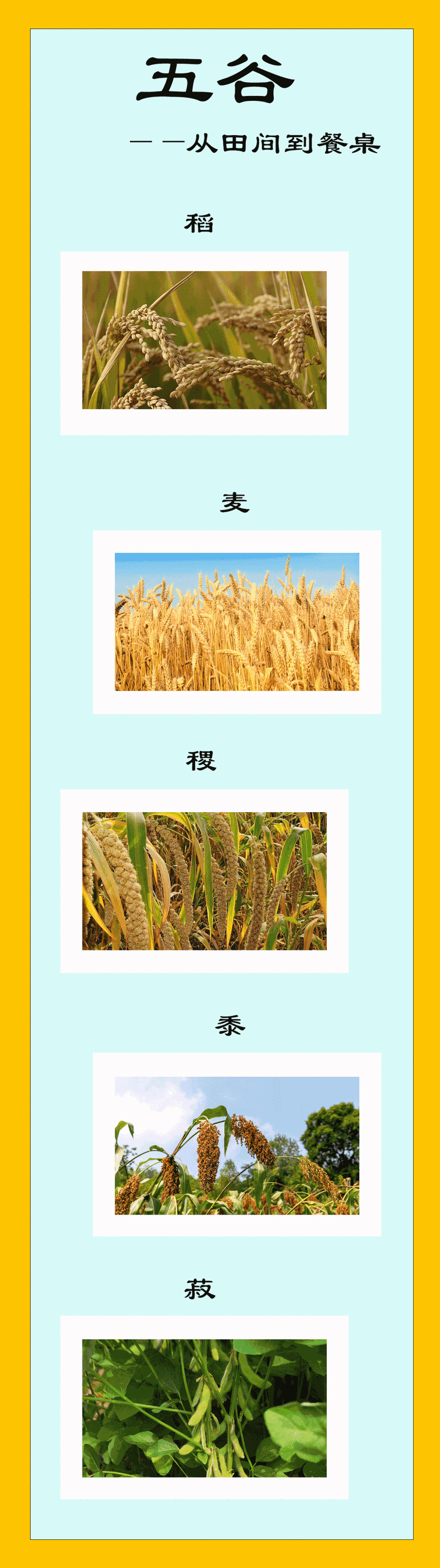 黍怎么读?