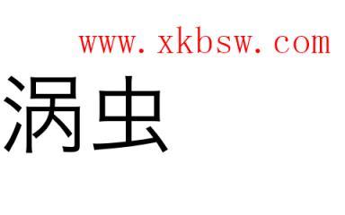 涡虫怎么读?