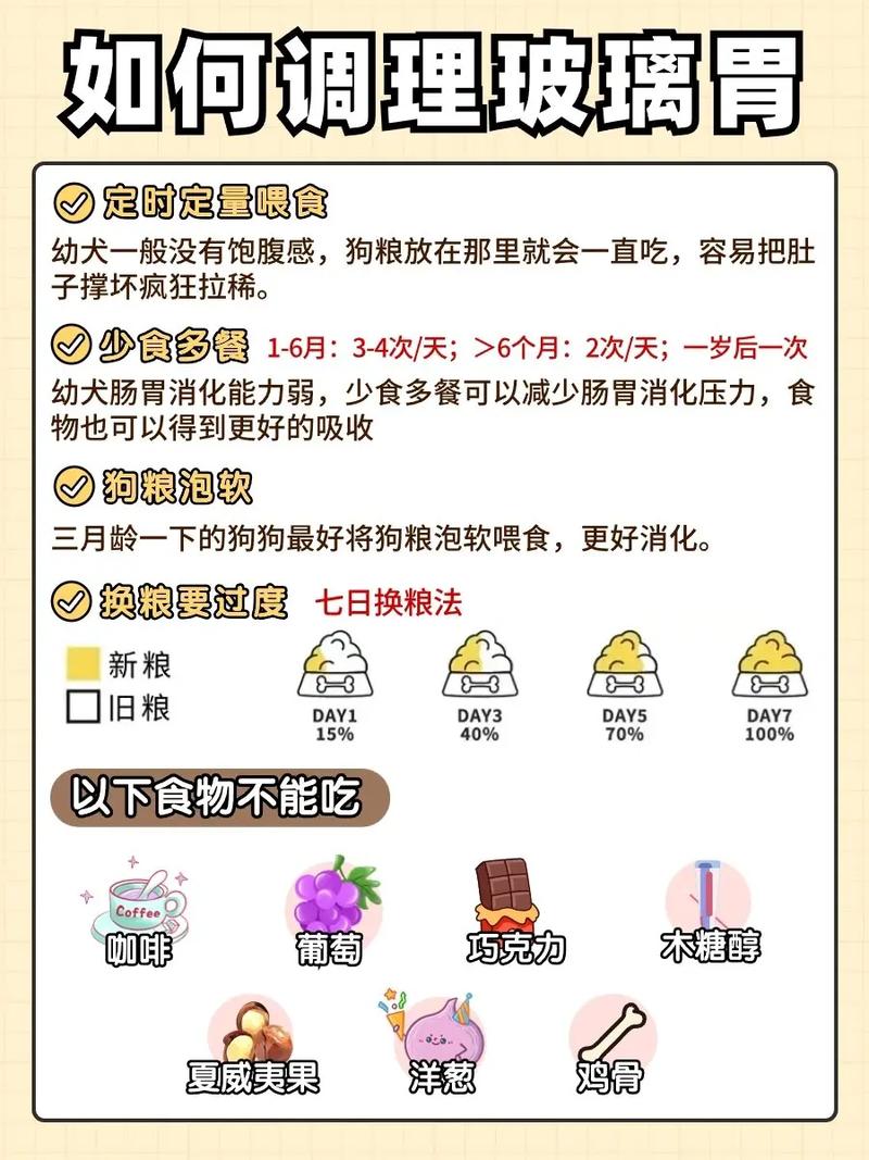小狗拉稀怎么治疗?