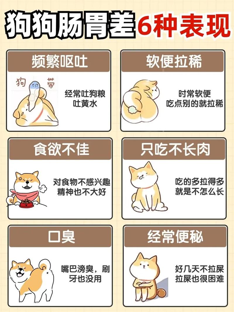 小狗拉稀怎么治疗?