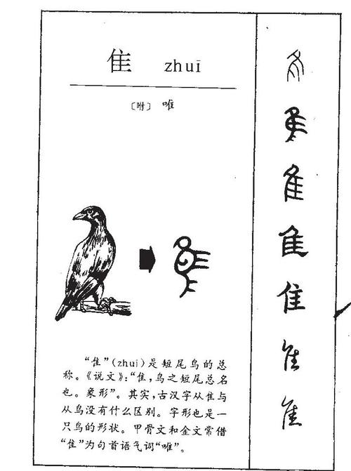 隹怎么读?