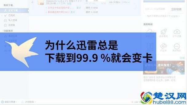 迅雷下载速度为什么这么慢?