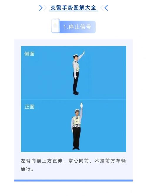 为什么交警助手?