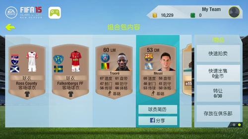 为什么fifa15闪退?