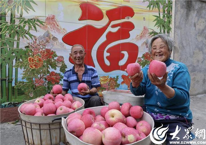中国苹果为什么这么贵?