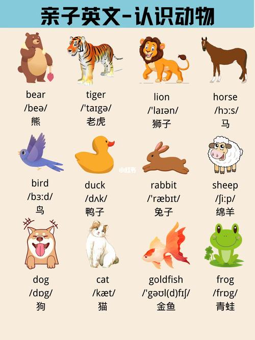 动物英语怎么读?