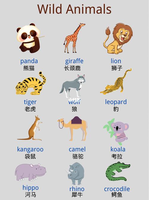 动物英语怎么读?