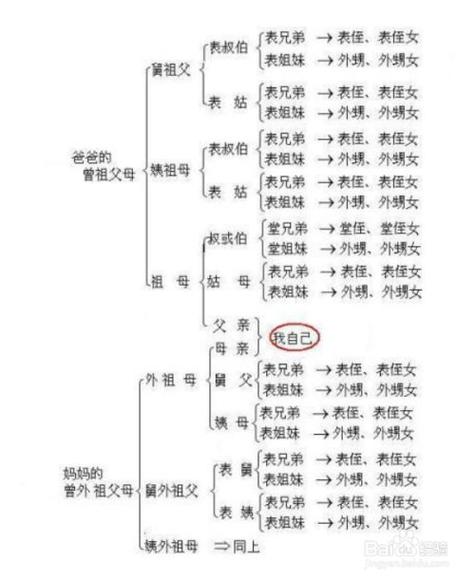 妈妈的姐姐怎么称呼?