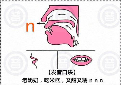?N怎么读?