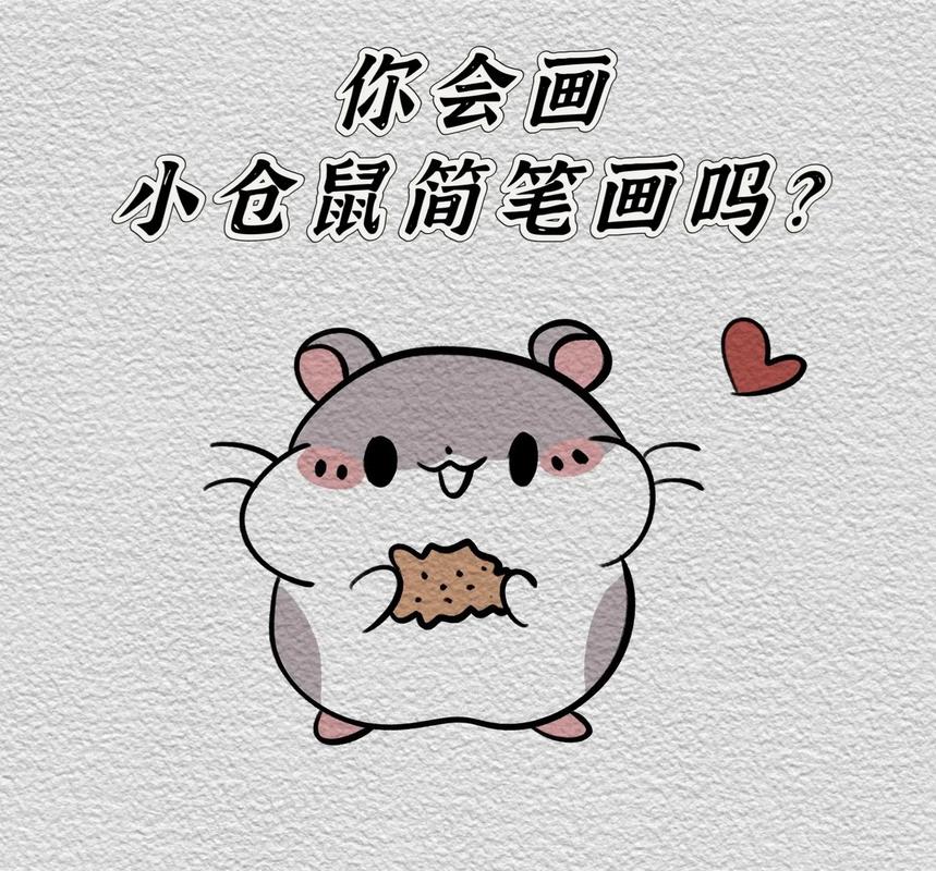 小仓鼠怎么画?