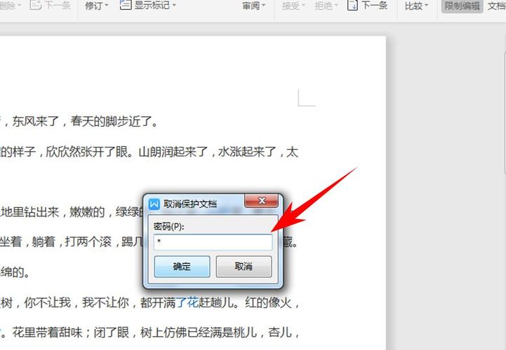 为什么文档被锁定?
