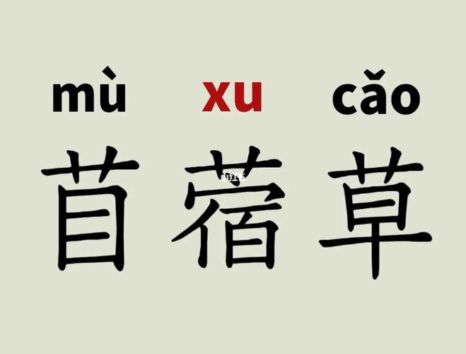 苜蓿怎么念?