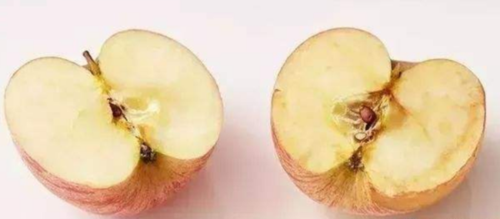 为什么苹果不氧化?